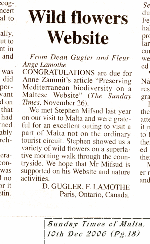 Comments on our Tours published on the Times of Malta (2006)