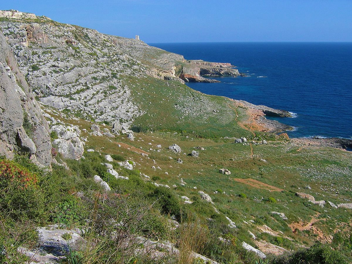 Malta Tours - Quality Holiday excursion and walking guided tours Maltese nature [Home Page]